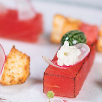 watermelon-450x253